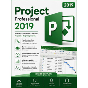 Microsoft Project Professional 2019