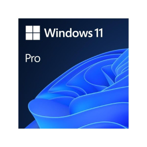 Microsoft Windows 11 Pro (1 PC)