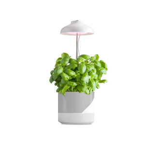 Lampa do wzrostu roślin Grow LED VERDI 5W