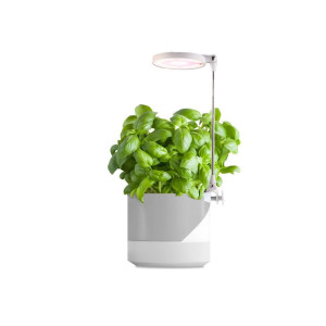 Lampa do wzrostu roślin Grow LED VERDI 10W
