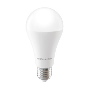 Żarówka LED E27 17W zimna 6000K 2100lm A65