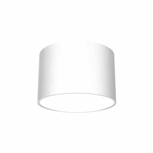 Lampa sufitowa dixie white 1xgx53 milagro