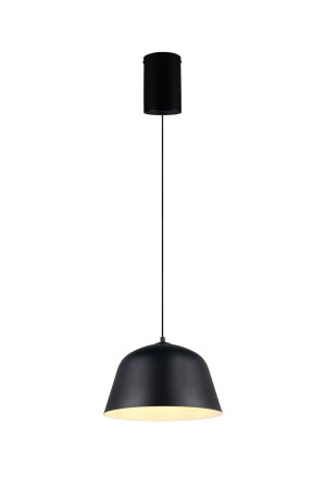 Lampa wisząca Tova czarny E27 R36411032 - RL