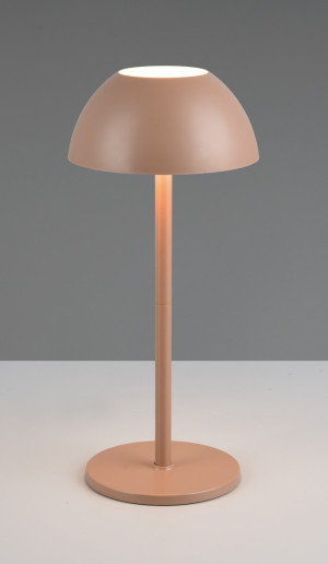Lampa zewnętrzna Ricardo brązowy i odcienie brązu LED zintegrowany R54106165 - RL