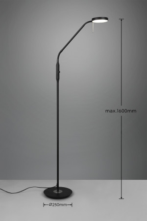 Lampa podłogowa Nemio Dl132423310 czarny mat LED zintegrowany - Trio