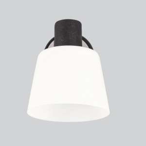 Kinkiet Candellux Biloba czarny ze szklanym kloszem 1×E14
