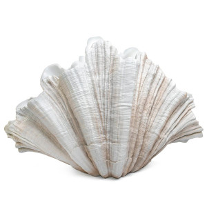Dekoracja KARE wazon dekoracyjny CONCHA 57 cm – Kare Design