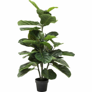 Dekoracja KARE roślina dekoracyjna FIDDLE LEAF 120 cm – Kare Design