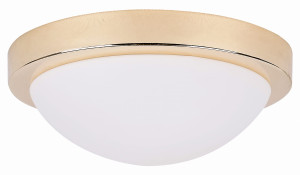 Roda plafon 28 1x60w e27 złoty ip44