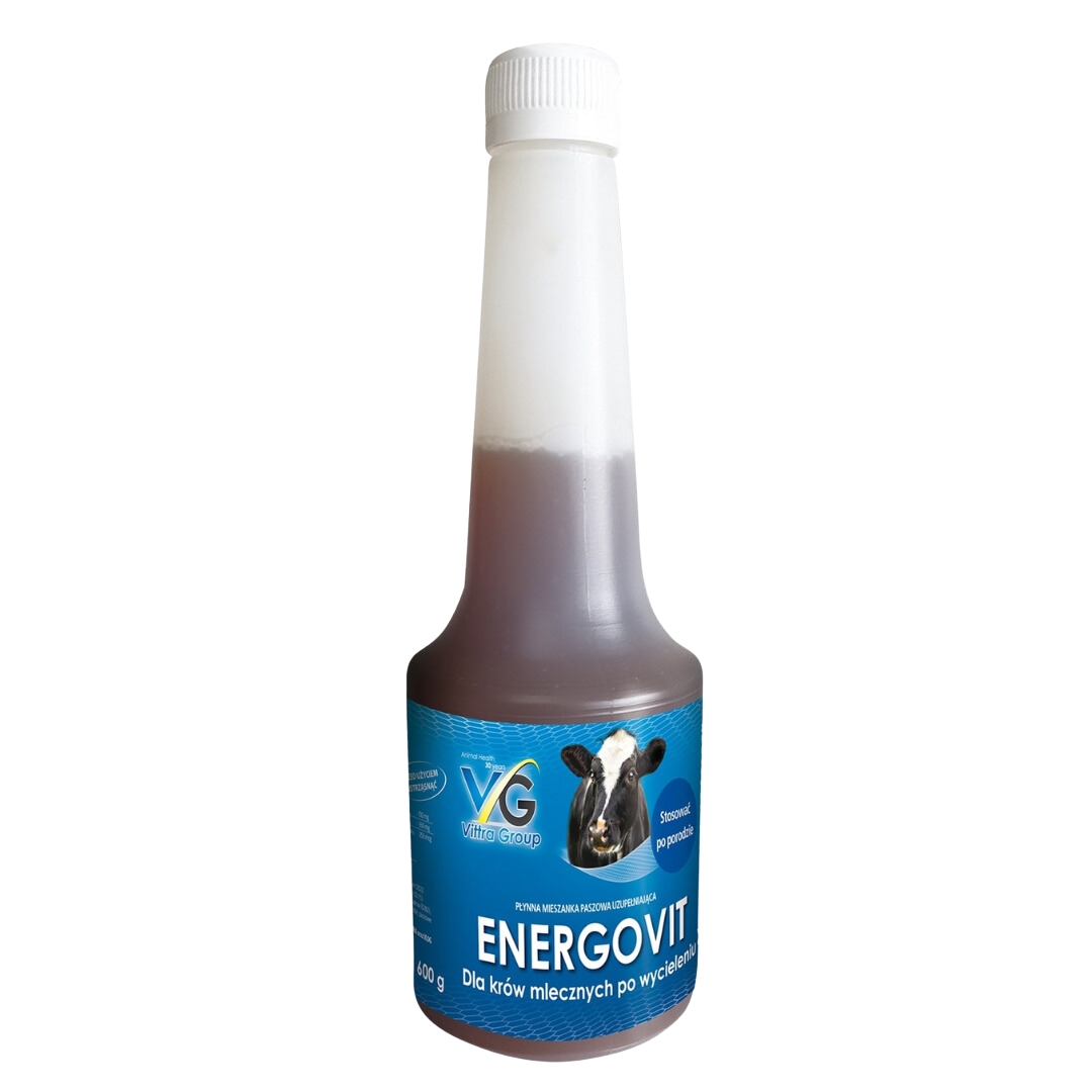 ENERGOVIT DODATEK ENERGETYCZNO – WITAMINOWY 600g