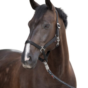 Kantar dla konia Hippo czarny, Covalliero Foal