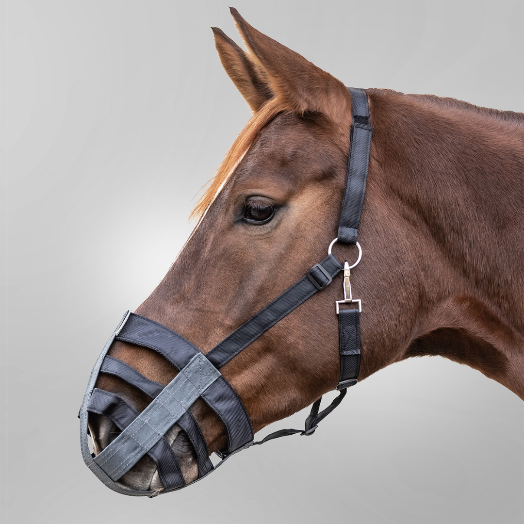 Kaganiec tekstylny Waldhausen – dla koni Cob