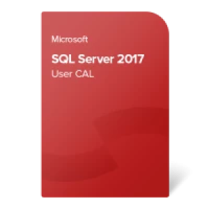 Microsoft SQL Server 2017 Standard 10 User CAL – efektywne zarządzanie danymi