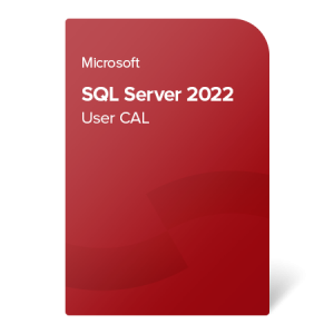 Microsoft SQL Server 2022 Standard 10 User CAL - Licencja dla Firm | Kup Teraz!
