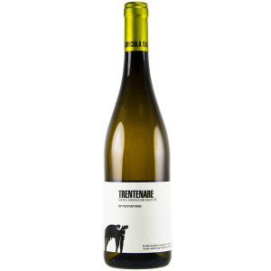 San Salvatore 1988 Fiano Trentenare Paestum IGT 2024