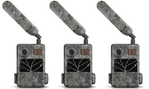 ZEISS Secacam 3 Wildkamera 3er Pack