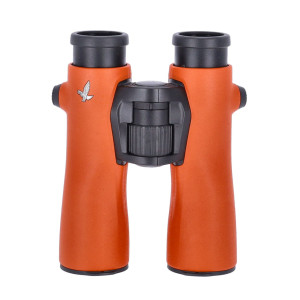 Swarovski NL Pure 8x42 Burnt Orange Fernglas