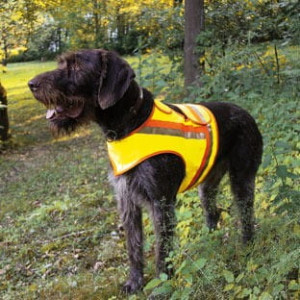Reflektorweste für Hunde - verschiedene Grö&szl... 3