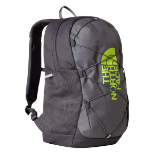 The North Face Court Jester Rucksack Jugendliche Cedar/New Taupe OS