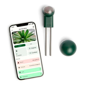 KIT SENSOR FYTA BEAM SET-1 + HUB