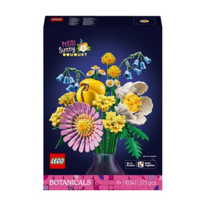 Lego BUQUE SOALHEIRO 10347