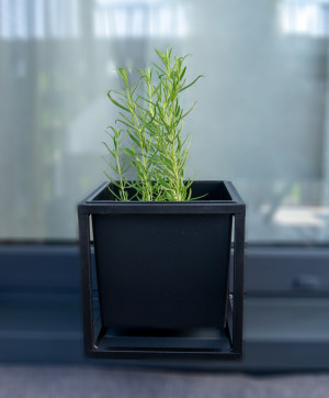 Kwietnik metalowy JAKPOL loft czarny mat 20x20 cm na 3 rośliny