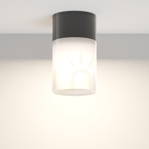 Plafony zewnętrzny WILLIS O418CL-01B IP54 Maytoni