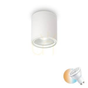 Plafon zewnętrzny Ideallux GUN 122663 biały GU10 IP55 11 cm
