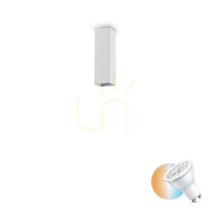 Plafon Ideallux LOOK 233772 biały GU10 1x28W 6x20 cm