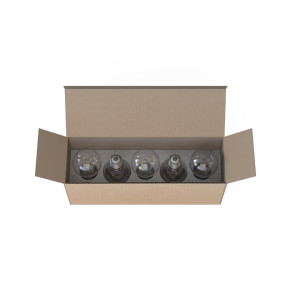 Żarówka BULB LED E27, A60 2W, 5 PC SET 7487 Nowodvorski