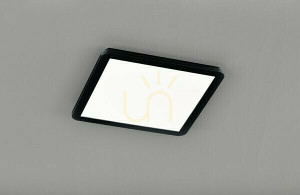 Plafon RL CAMILLUS R62932032