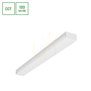 Limea Subtilo 600mm 15 W 3 Cct 230 V 120st Ip20 Biały 2 Lata Gw.
