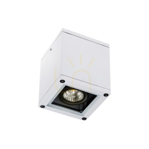 Zewnętrzne lampy sufitowe 1xgu10 Biały ZAMBELIS