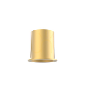 Ring FOR S204-s205 Gold ZAMBELIS