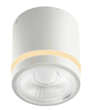 Downlight Azzardo VICI IP44 12W CCT SWITCH Biały