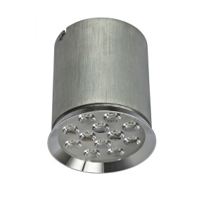 Chloe 12led 230v 12w Ip20 45st Cw Sufitowe