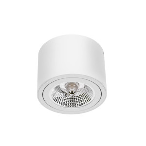 Chloe Ar111 Ip20 Okrągła Biała, Ruchoma