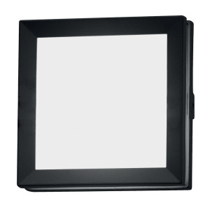Egil 1 Light Wall/Ceiling Lantern Elstead