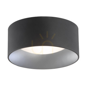 Plafonieră ARGON Mohito 704 E27 negru-argintiu 350 mm