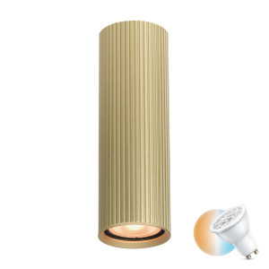 Lampă de suprafață Italux Rilok aurie GU10 aluminiu CLN-83920-M-GD