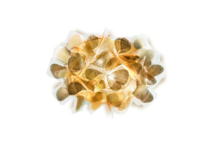 Slamp Clizia Applique Mama Non Mama Gold lampă de perete