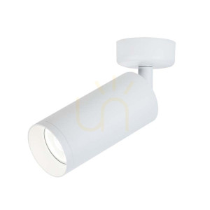 Plafon Spot mobil LED 9W alb ZAMBELIS