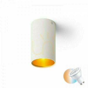 Downlight Taklampa Matt Vit/Guld 230 V Gu10 35 Watt.