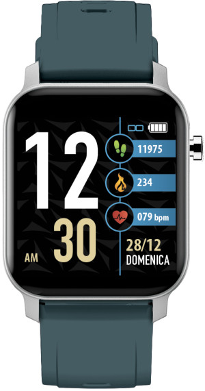 Zegarek Techmade TM-TWX-SGR / TechWatch X Blue / unisex / pasek
