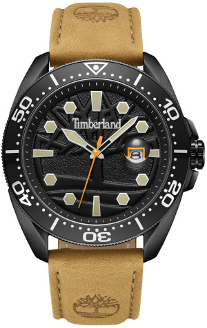 Zegarek Timberland TBL.TDWGB2230601 / CARRIGAN / męski / pasek