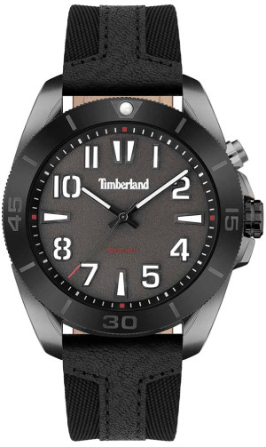 Zegarek Timberland TBL.TDWGP2201601 / WARRICK / męski / pasek