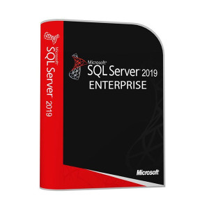 Microsoft Windows Sql Server 2019 Enterprise - Cals Incluidas