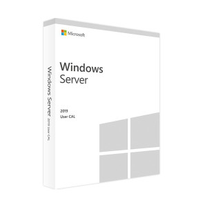 Microsoft Windows Server 2019 - 10 Licencias Cal De Usuario