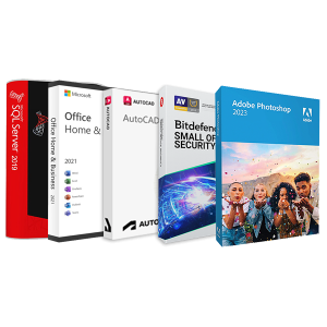 Paquete Premium Con Windows Sql Server 2019