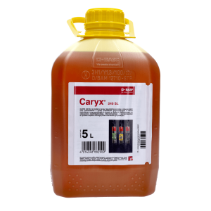 Caryx 240 SL 5L (chlorek mepikwatu, metkonazol) - regulator wzrostu i preparat grzybobójczy do uprawy rzepaku